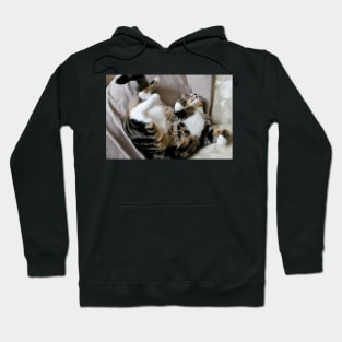 A Little Millie Madness Hoodie